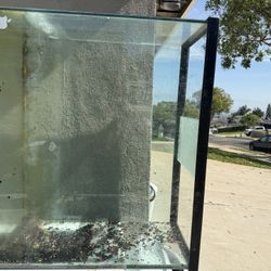 Fish Or Turtle Tank
