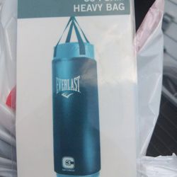 100 Pnd Everlast Bag + Stand With Speed Bag