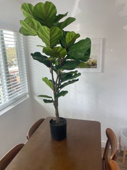 Large Artificial Fiddle Leaf Fig Tree