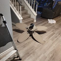 Ceiling fan