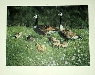 Art Print - Limited Edition - "Springtime" - Don Patterson