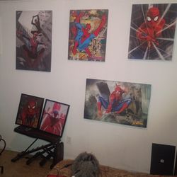Spider-Man wall decor