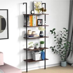 5-Tier Ladder Shelf