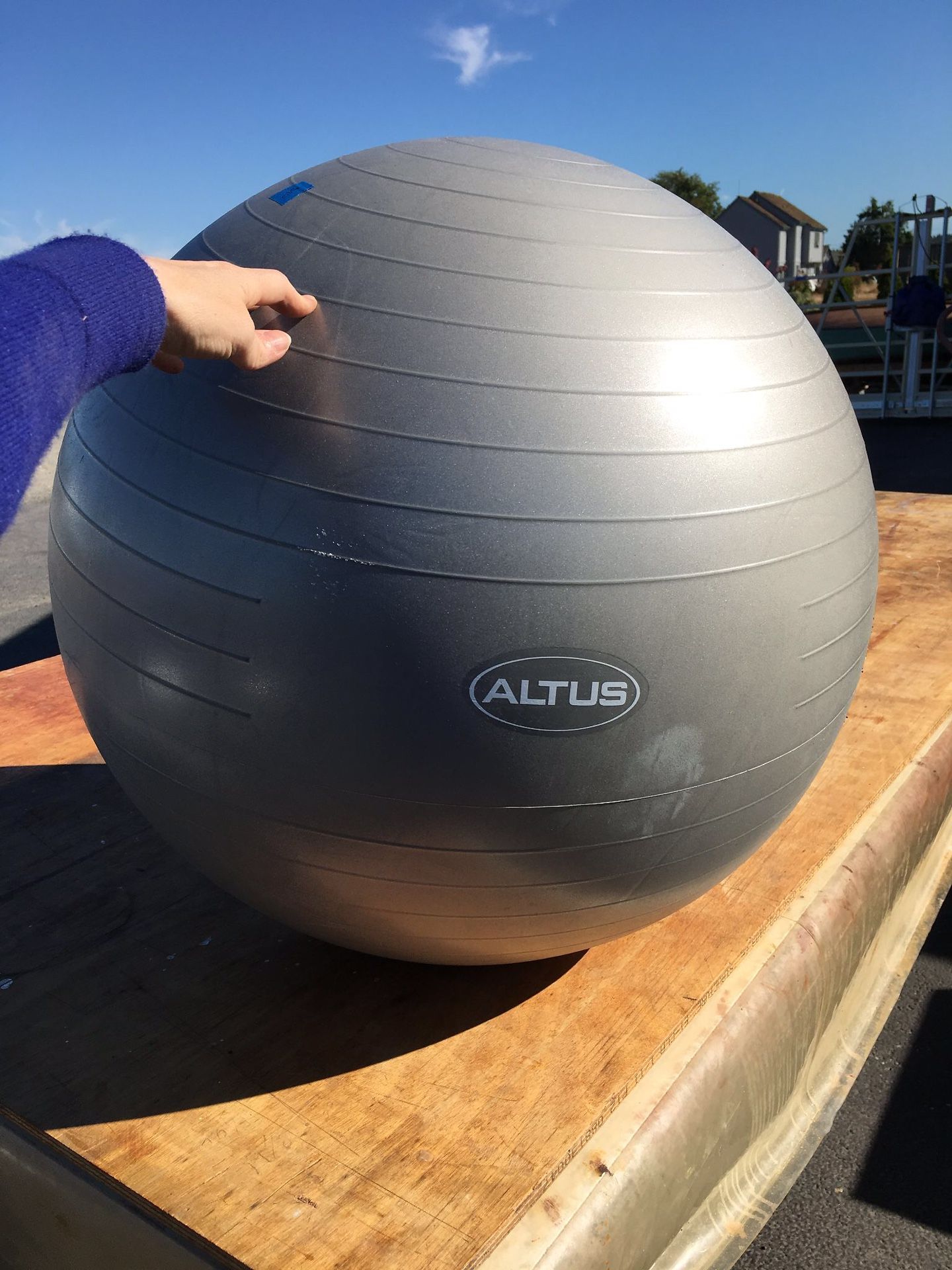 Altus Pilates workout ball