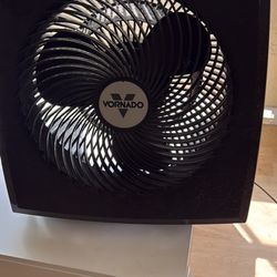 Vornado Fan