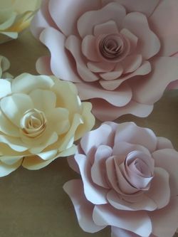Paper flowers🌹🌷
