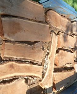 Black Walnut Live Edge Slab