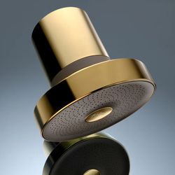 Jolie Filtered Showerhead - Brushed Gold