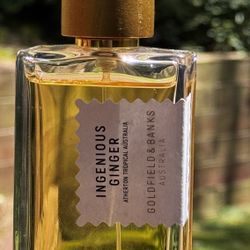 Ingenious Ginger by Goldfield & Banks
