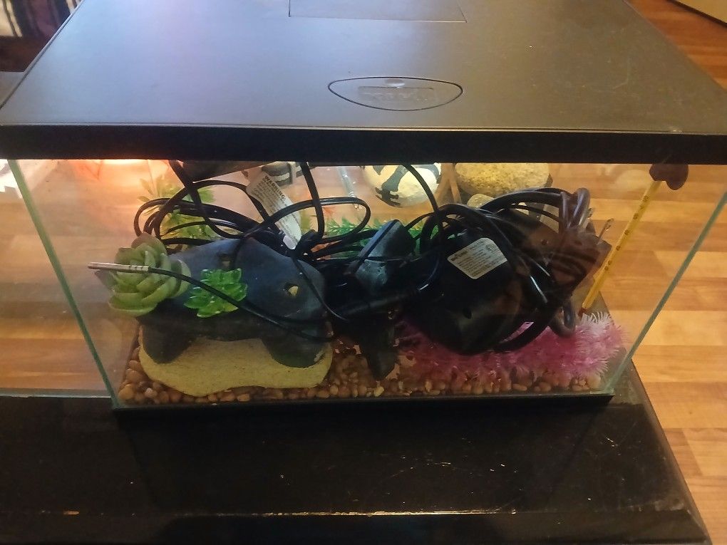5 Gallon Fish Tank