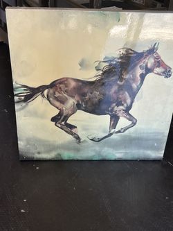 Horse Frame