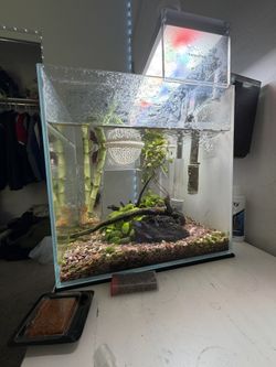 Beautiful Fully Planted Aquarium Setup 🐠🌿