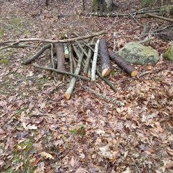 Free Fire Wood
