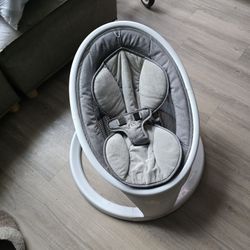 Baby Swing And Baby Lounger 