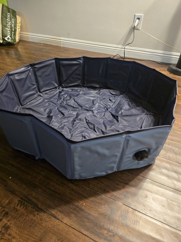 Dog Kiddie Pool