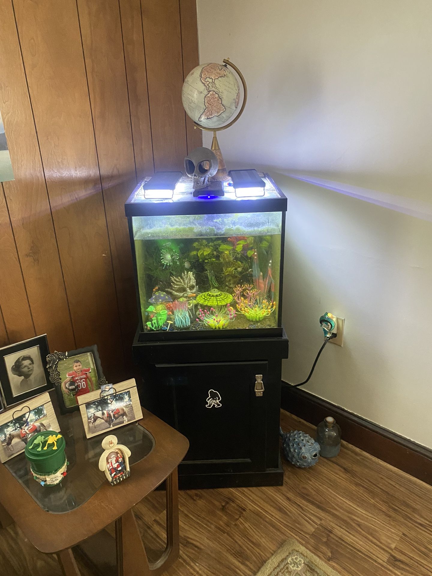 27 Gallon Fish Tank With EVERYTHING you Need
