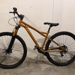 Mountain bike 29in - Large