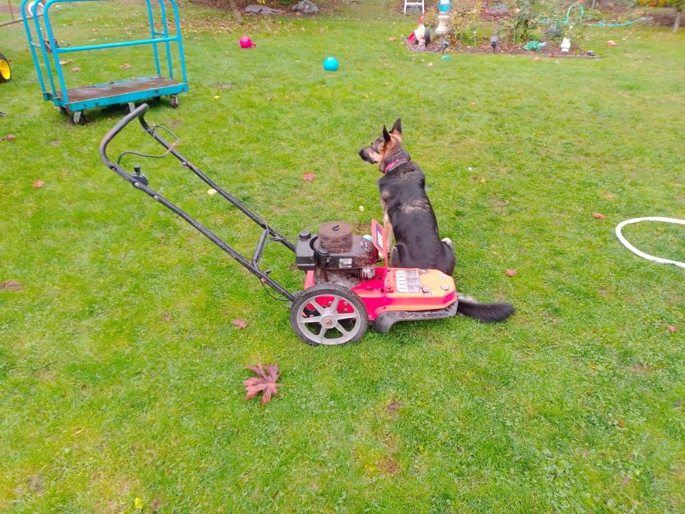 A R I E N S String Trimmer