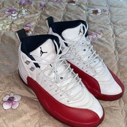 Air Jordan 12 Retro 