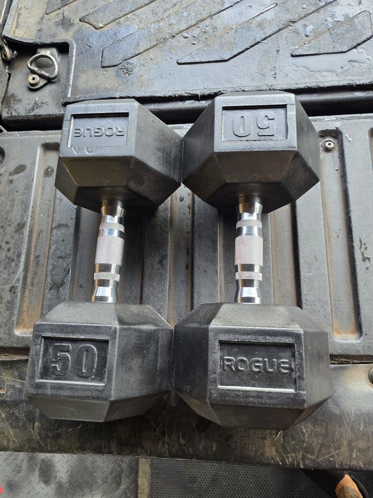 Weight Rogue Dumbbells
