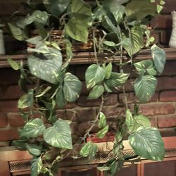 Silk plants in basket came from Mathis Brothers in good condition other items listed also