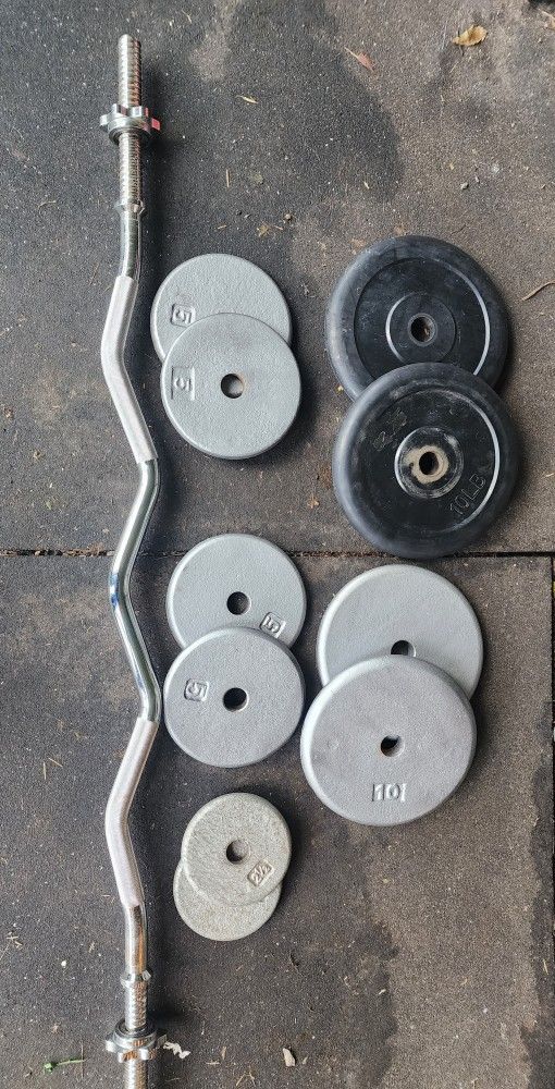 Standard size weight plates and curl bar 