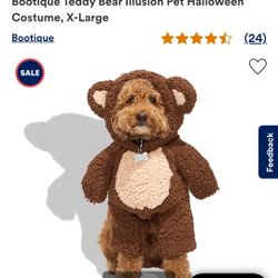 Bear Dog Costume