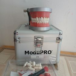 ModuPRO Acadental  Exam/Practice Kit, MP R220 AE w/ Replacement Teeth