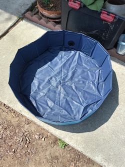 Pet Pool