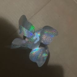 Reflective  Pinwheels 