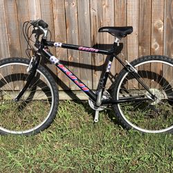 Fuji sunfire women's bike hotsell