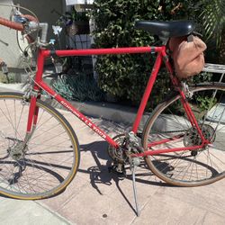 Schwinn 26” 10 Speed Bike