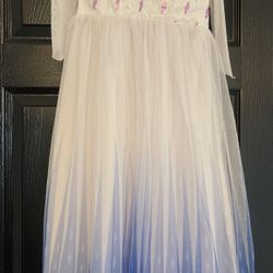 Elsa Costume Dress 