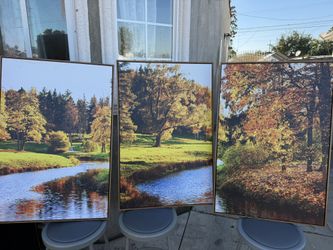 Paintings