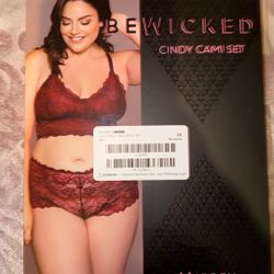 Lace panties and bra set