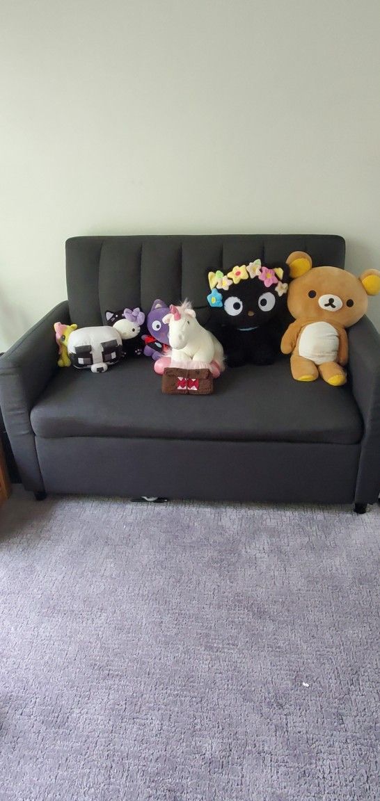 Pull Out Couch (Twin)