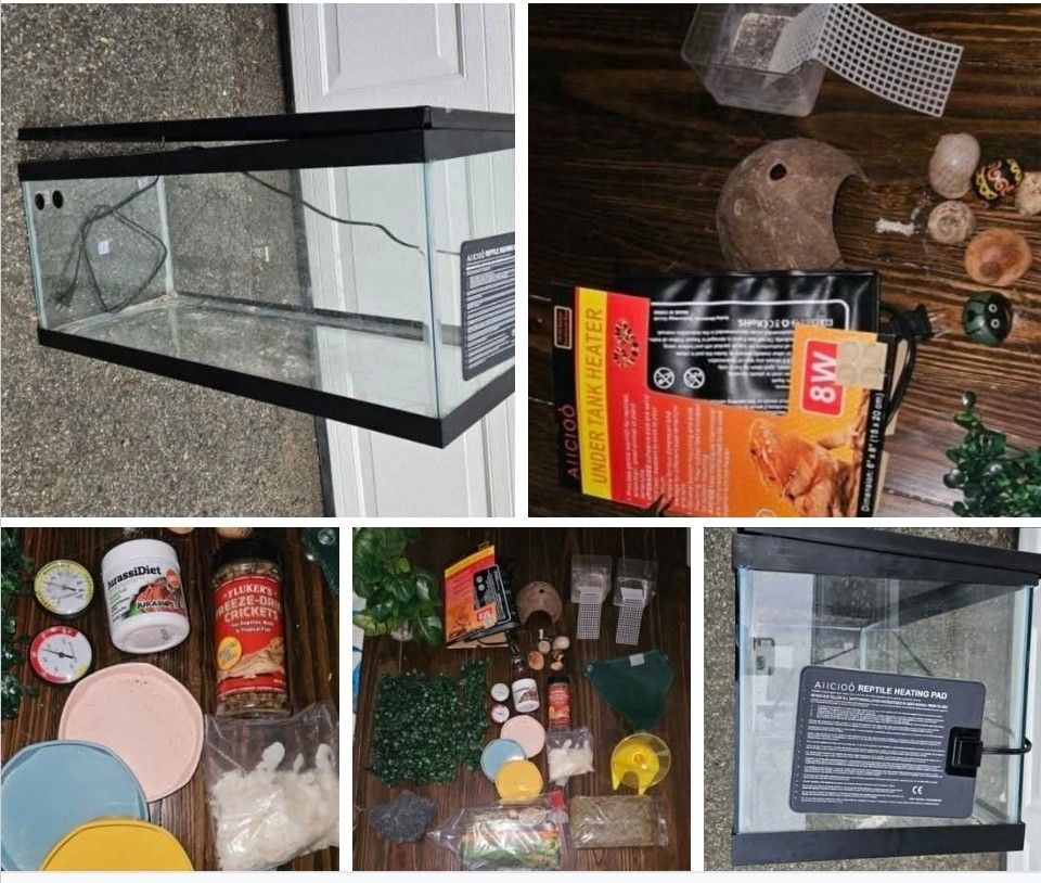 60 Gallon Tank With All Items For Hermit Crabs