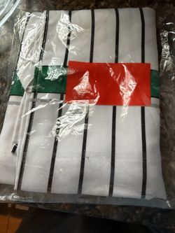 Long Island Ducks Apron