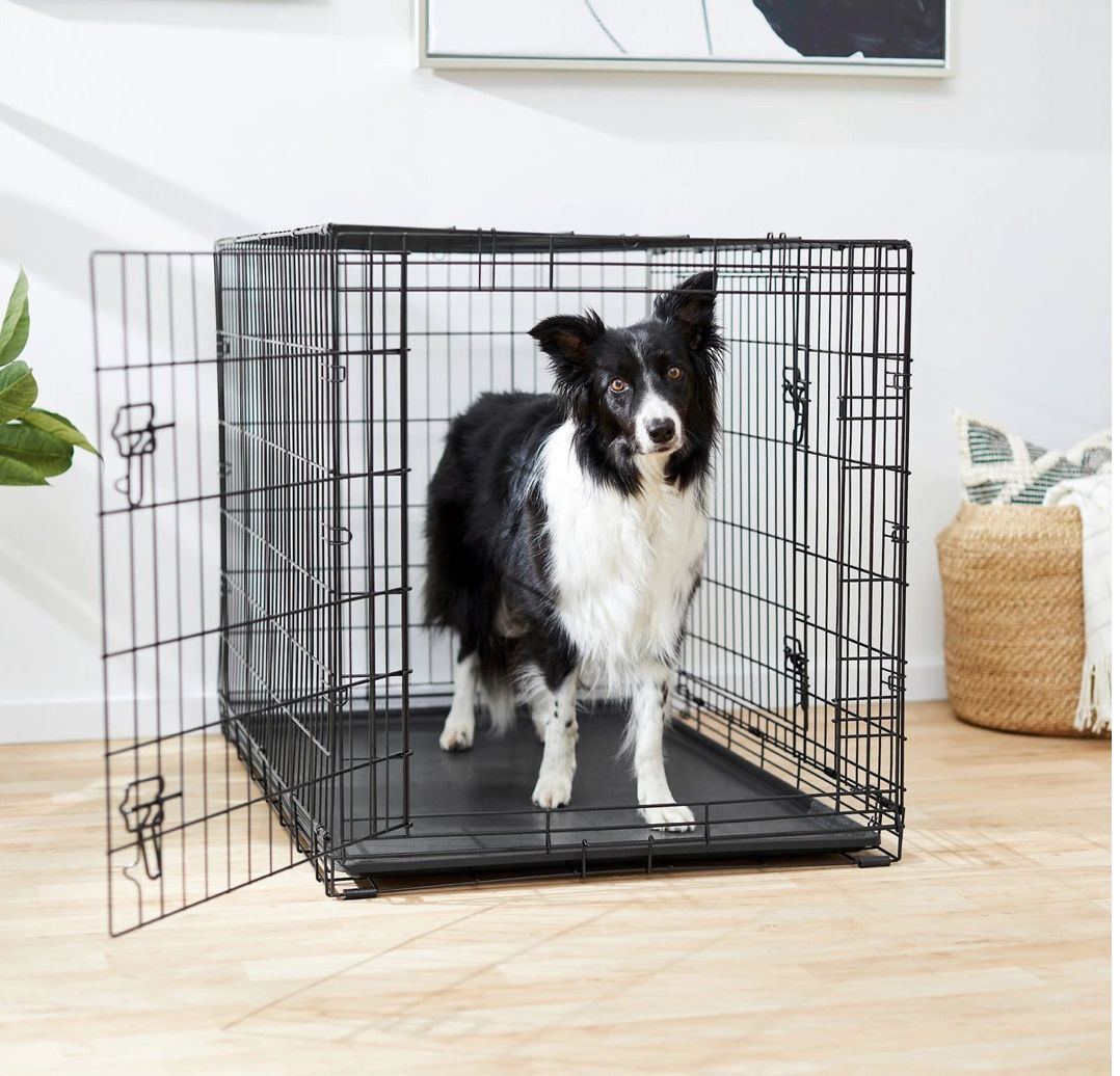 Brand New Large Frisco Double Door Dog Crate With Pad