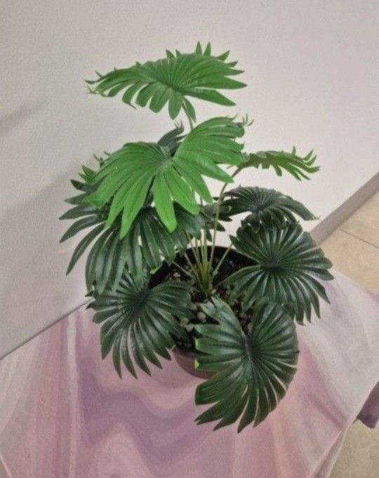 *** REDUCED *** Faux Potted Plant with Mixed Colored Stone @ Lasting Creations