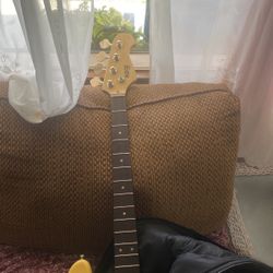 Bass