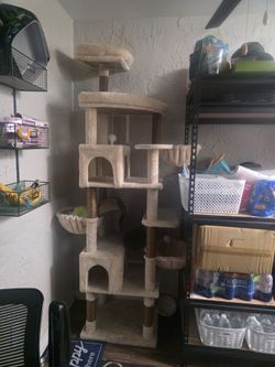 Cat house
