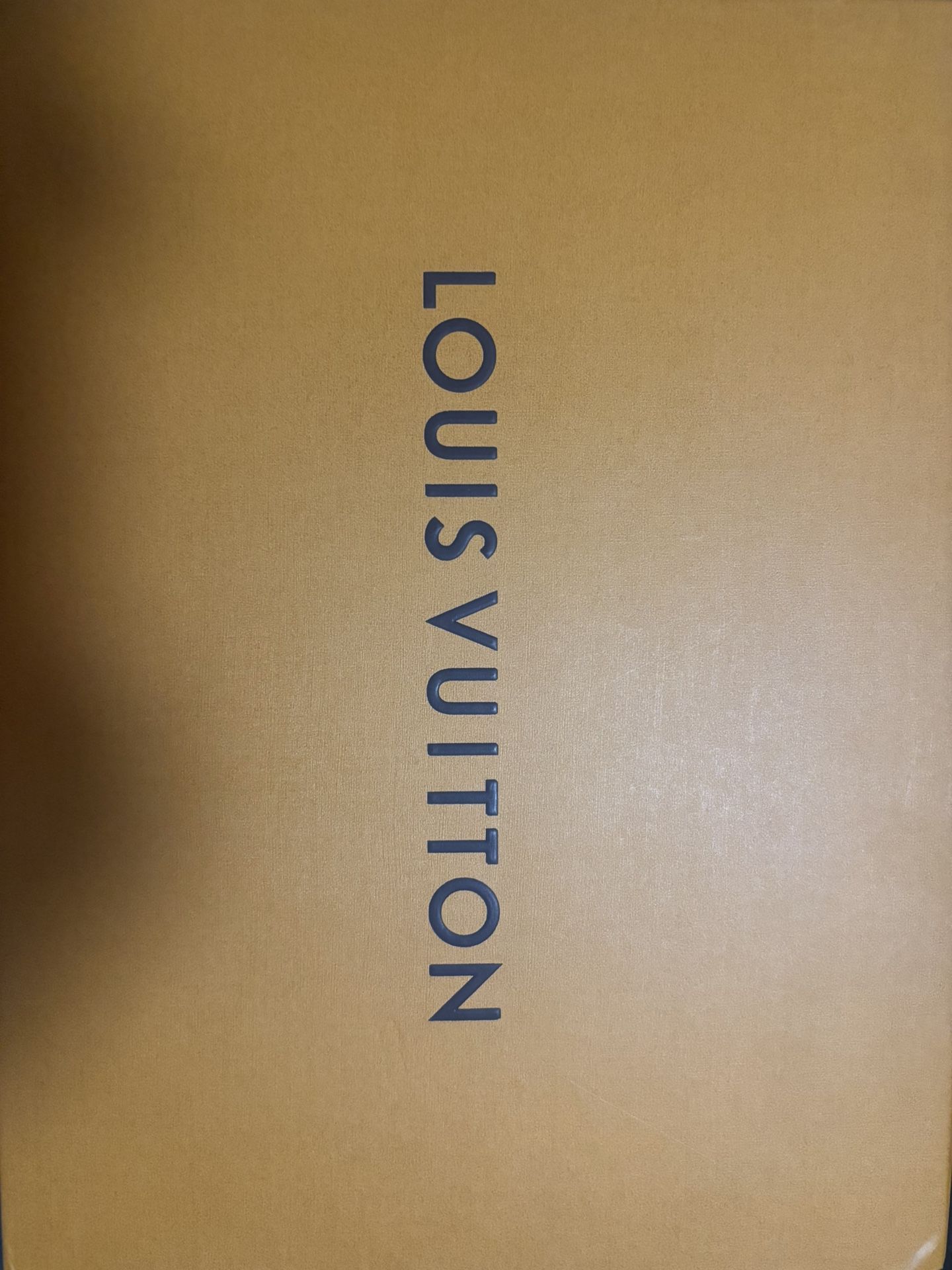 Lv Shoes