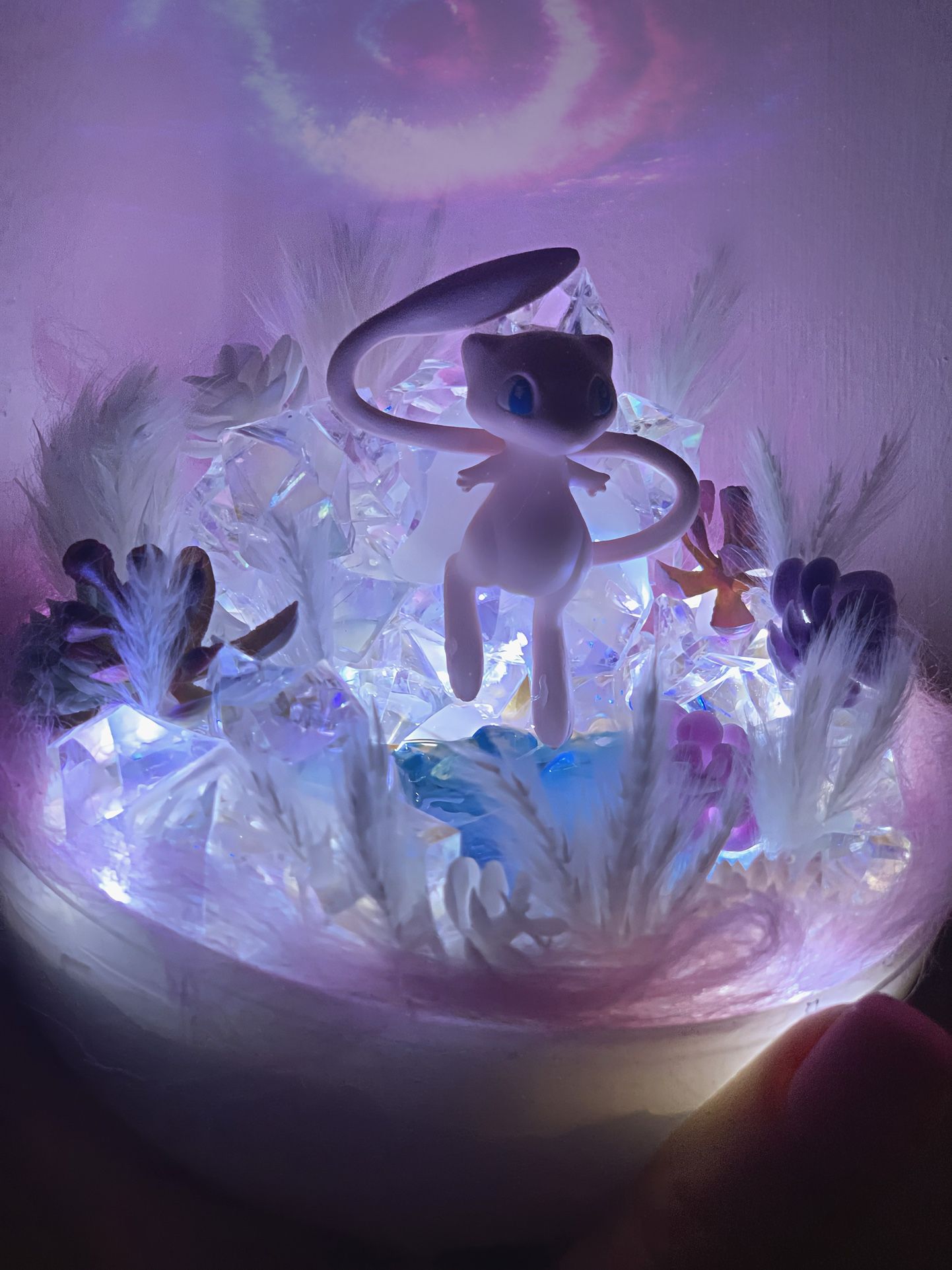 Pokémon Terrariums Light Ups Deluxe