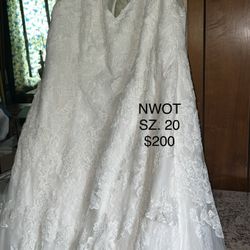 Wedding Dresses