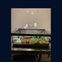 5 Gallon Terrarium 