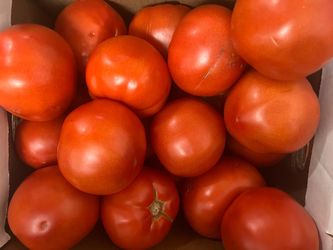 Tomatoes, nectarines, eggplant, and plums — $1.50/lb.