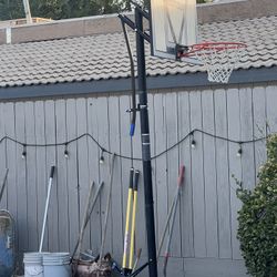Basketball Hoop 