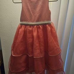 Dress Little Girls Dress Pink Sz 8 Small Medium  Satin Pearls Bow Tie Zip Fancy Party Princess 