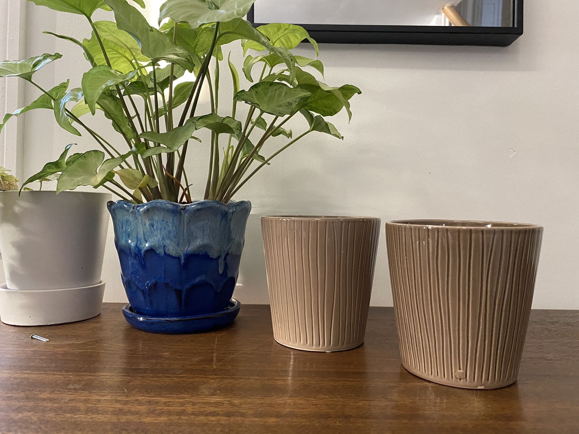 Set Of 2 Brown Plant Pots